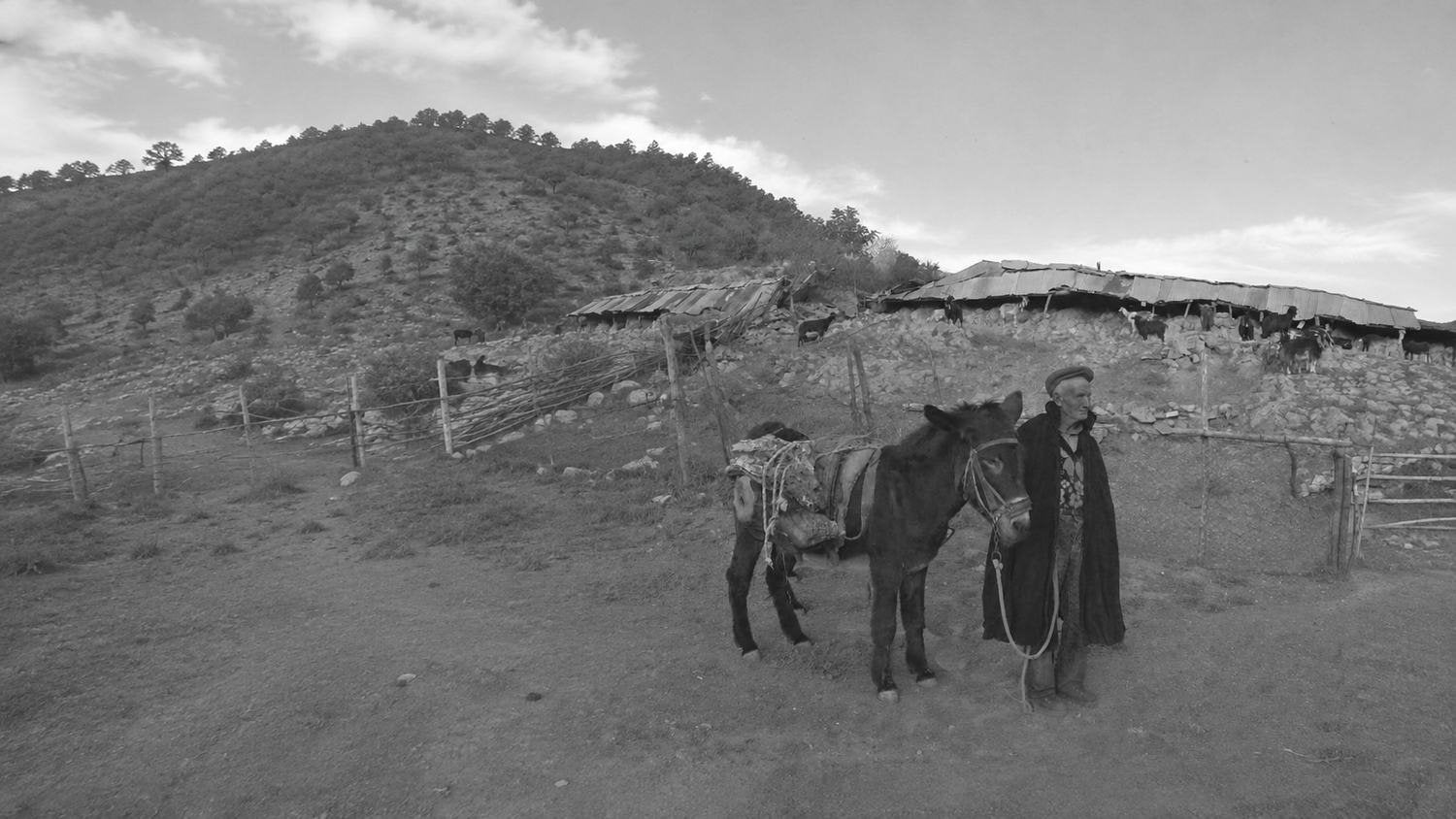 Fotografia in bianco e nero di un contadino con il suo mulo tra le montagne della Calabria