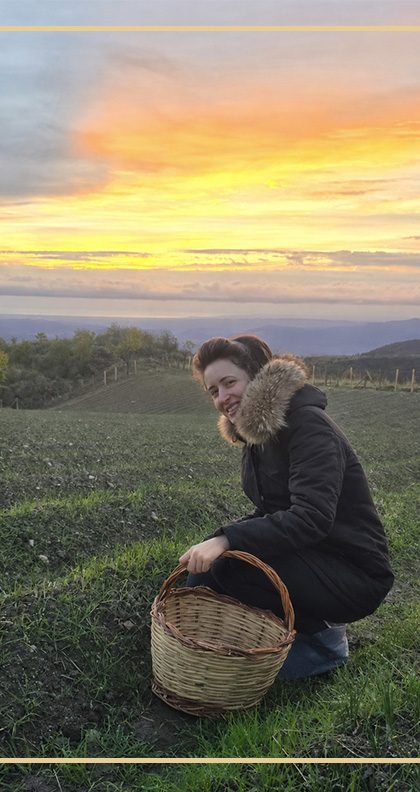 Sorridente nel campo di zafferano al tramonto, con un cesto per la raccolta